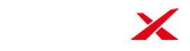 Neta Logo